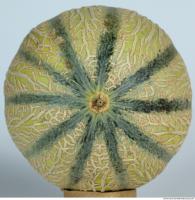 Melon Galia 0013